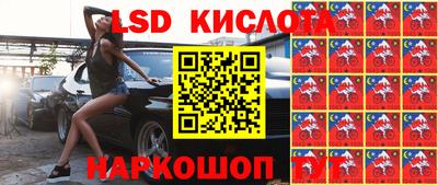 ПСИЛОЦИБИНОВЫЕ ГРИБЫ Кулебаки