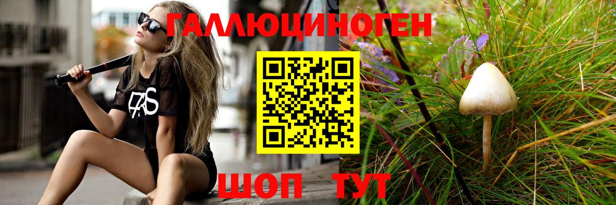 Галлюциногенные грибы мухоморы  цена наркотик  Вход с VPN  Красноперекопск  Псилоцибиновые грибы GOLDEN TEACHER 